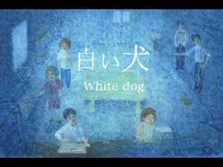 白い犬.jpg