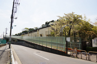 DSC07976.JPG